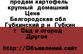 продам картофель, крупный, домашний › Цена ­ 25 - Белгородская обл., Губкинский р-н, Губкин г. Сад и огород » Другое   